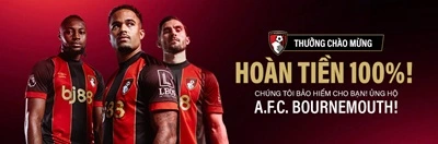 Hoàn tra cược thua 100%